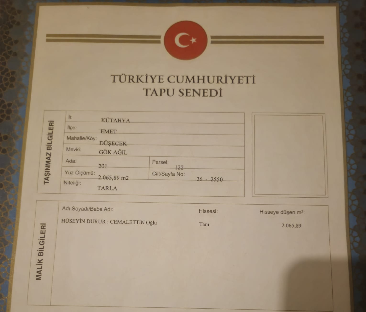 Fotoğraf
